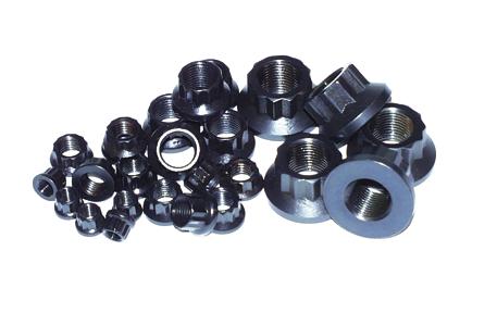 ARP 5/16 Inch-24 12pt Nut Kit – BimmerNetwork